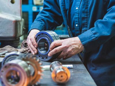 Strong FY25 Performance; 350% Dividend; Capex for Growth